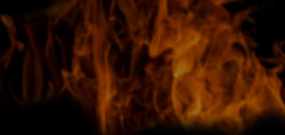 ds2.png#asset:15972