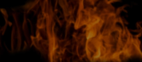 ss2.png#asset:15961